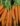 carrots-4770035_640_11zon